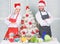 Cooking christmas meal. Man and woman chef apron santa hat near christmas tree. Christmas recipe concept. Secret