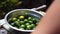 Cooking contestant prepare calamansi in preparation for the nutritional cooking meet