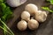 Cooking edible puffball mushrooms. Several whole mushrooms on a cutting board
