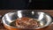 Cooking flambe meat on frying pan. Slow motion footage. hd