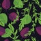 Cooking herbs Arugula with green and purple basil Seamless pattern Black background