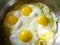 Cooking homemade rustic simple fried eggs