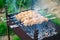 Cooking hot pork on russian barbecue, prepared on grill with spices outdoor