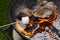 Cooking marshmallow on wooden stick over fire.