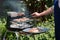 Cooking meat on a Barbecue