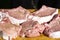 Cooking pork meat for barbecue. Pork with olive oil and spices. Raw pork steaks. Marinating meat. Rest at nature.