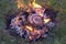 Cooking pork sausage on the stone in the fire of wild camp