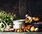 Cooking pot, forest mushrooms and cooking ingredients for soup or stew on dark rustic kitchen table at wooden background, side vie