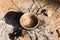 Cooking pot resting on a ground wood fire