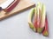 Cooking process. Home baking concept. Preparing rhubarb cake. Ripe rhubarb stems and some utensils upon wooden board.