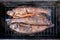 Cooking smoked fish on a rustic style