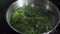 Cooking spinach in a frying pan close-up. Roasting spinach. Salt is poured into the pan