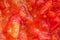 Cooking tomato sauce, closeup steamed vegetables for cook book or food blog background