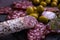 Cooking various salami smoked olives, dill appetizer  german