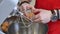 Cooking, whipping eggs with electric whisk in bowl. Female hands mixing eggs in bowl