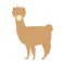 Cool alpaca with amazing hairstyle isolated on white background. Funny llama animal in hand drawn style. Great for icon, card.