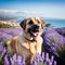 Cool Anatolian Shepherd Dog relaxing in a hammock overlooking the serene waters of Lake Van