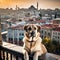 Cool Anatolian Shepherd Dog sitting proudly on a vintage Turkish rug in a traditional Turkish home