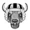 Cool animal wearing rugby helmet Extreme sport Buffalo, bison,ox, bull Hand drawn image for tattoo, emblem, badge, logo