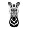 Cool animal wearing rugby helmet Extreme sport game Zebra Horse Hand drawn illustration for tattoo, emblem, badge, logo