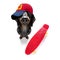 cool baseball cap urban dog