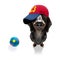 Cool baseball cap urban dog
