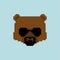 Cool bear pixel art. Grizzly Face 8 bit. Beast Head Pixelate vector illustration