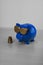 Cool blue piggy bank with golden glasses with euro coins isolate