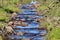 Cool Blue Water Gently Cascading Down a Brook