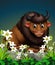 Cool Brown Buffalo With Rocks And White Ivy Flower Cartoon