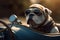 Cool Bulldog Driving on a Road Trip with Sunglasses On. Generative Ai