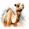 Cool Camel: Realistic Impressionism Illustration With Gentle Expressions