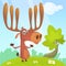 Cool cartoon moose character. Vector moose illustration isolated