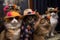 cool and casual feline fashion show with models showcasing cat-sized hats and sunglasses