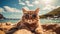 Cool cat hanging at the beach in sunglasses. Summer kitty by the sea. Sunbathing pet in shades.