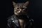 Cool cat with leather jacket on black background. Fashionable appearance, be trendy. Style and fashion. Stylish pet. Cat