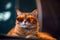 Cool Cat Photoshoot Ready. Generative AI