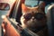 A cool cat in sunglasses rides in a car. Photorealistic shot generated by AI