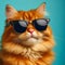 Cool Cat: Sunglasses-Wearing Feline on a Blue Background