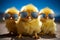 Cool chick Small yellow poultry wearing sunglasses, happy farm baby