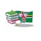Cool and clever Student flag dominica mascot cartoon with book