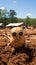 Cool Crop: Fashion-Forward Potato Rocking Shades in the Field