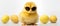 A cool, cute little Easter chick baby dons sunglasses for a playful look, Ai Generated