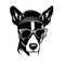 Cool Dog Eyeglasses Isolated, Funny Dogs for Print, AI Generative Illustration