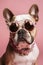 Cool dog with sunglasses and neckless on pink background. Fashionable appearance, be trendy. Style and fashion. Stylish