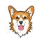 Cool dog welsh corgi face. Color vector illustration