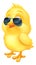 Cool Easter Baby Chick Chicken Bird in Sunglasses