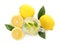 Cool freshly made lemonade and ingredients on white background, top view