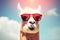 Cool funny alpaca