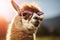 Cool funny alpaca